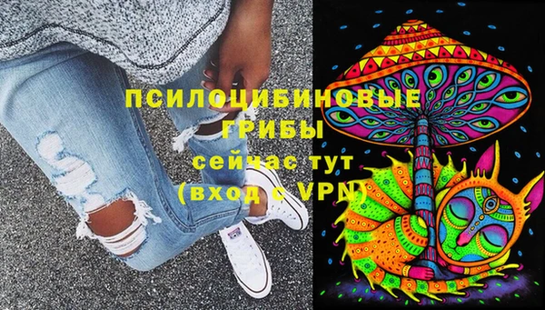не бодяженный Иннополис