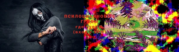 соль ск Алексин