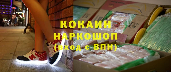 бошки Алзамай