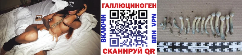 Псилоцибиновые грибы Psilocybe  купить  цена  МЕГА рабочий сайт  Петрозаводск 